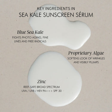 Mara Algae + Zinc Sea Kale Sunscreen Serum SPF30